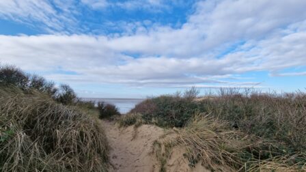 Path between the road and the beach in Berrow