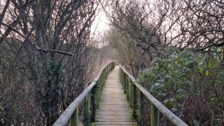Boardwalk from the golf course to the beach at Berrow.