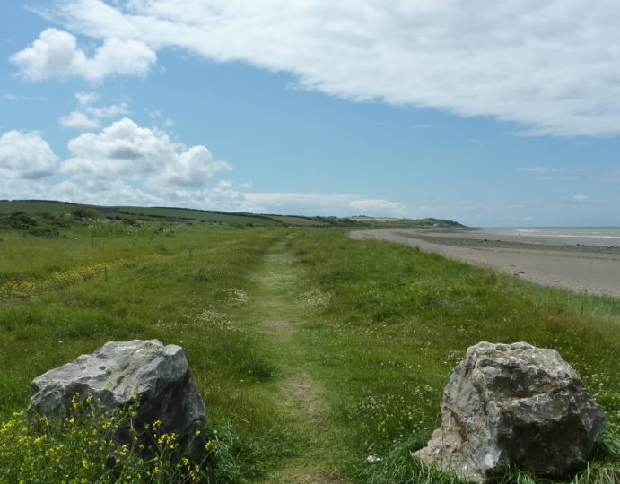 Picture shows an even grassy path behind the beach at Allonby