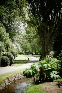 The Parks, Minehead